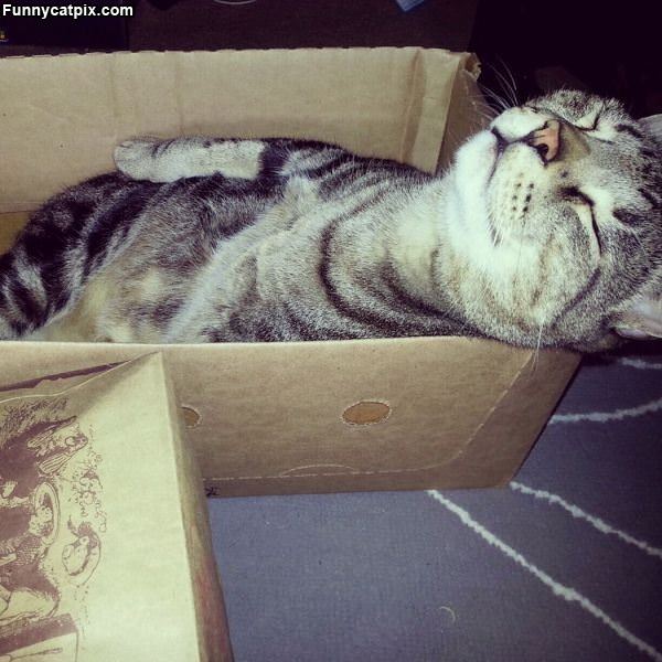 This Box Is Relaxing