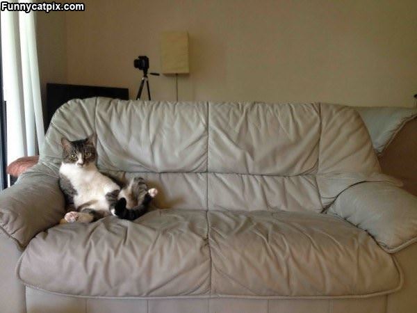 This Couch Is Mine