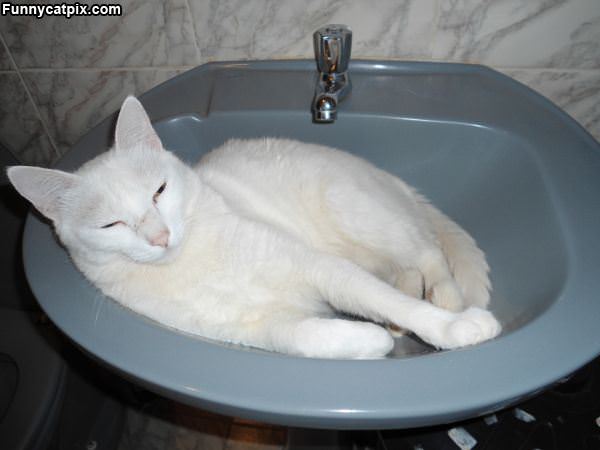 This Is My Sink