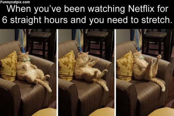 Too Much Netflix