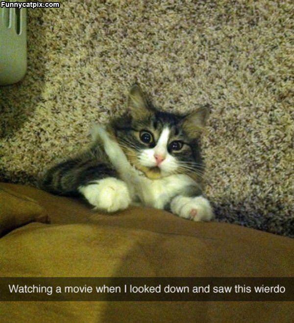 Watching A Movie