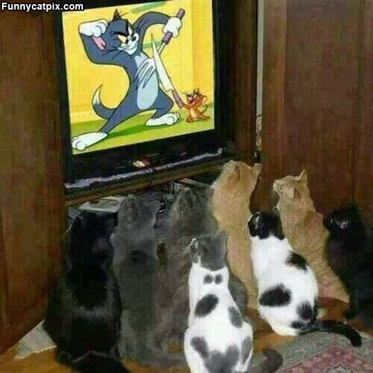 Watching Some Tom And Jerry