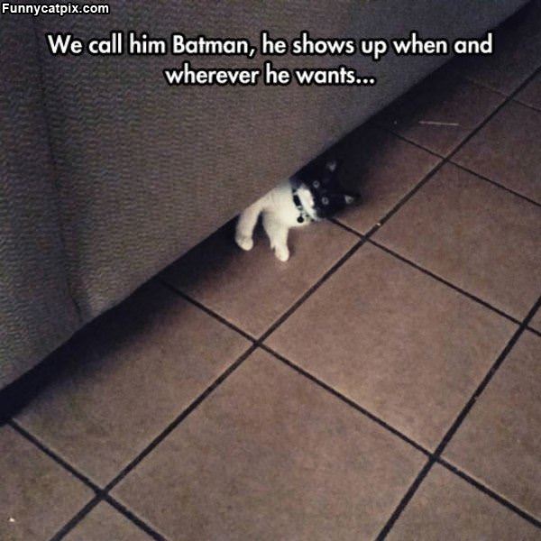 We Call Him Batman