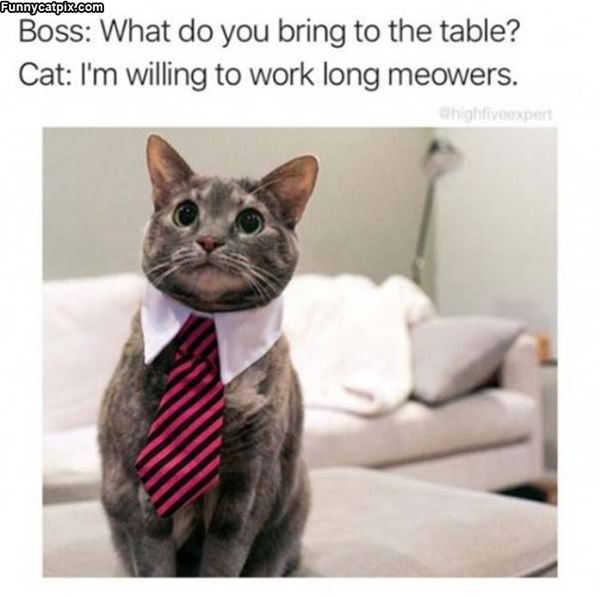 What Do You Bring To The Table