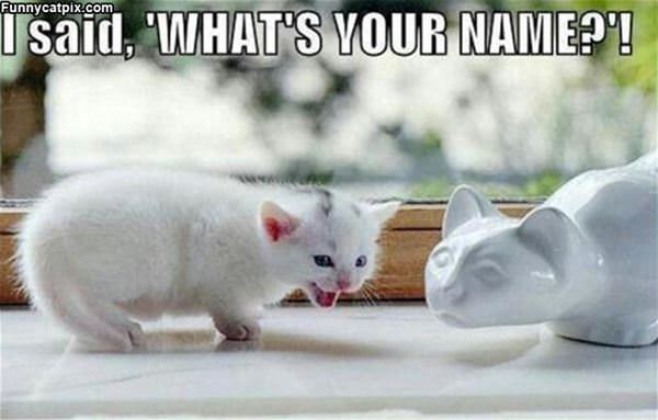 Whats Your Name