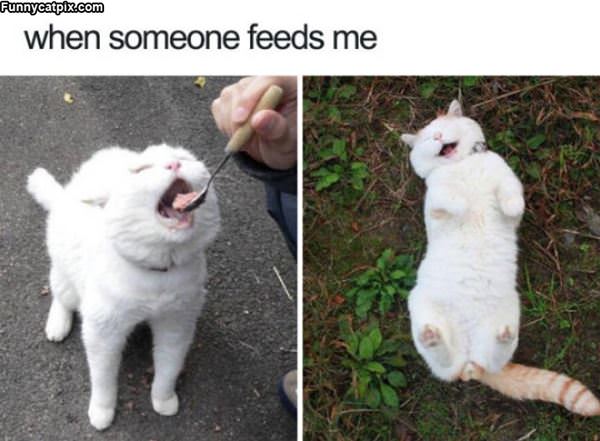 When Someone Feeds Me