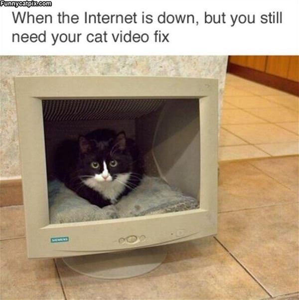 When The Internet Is Down