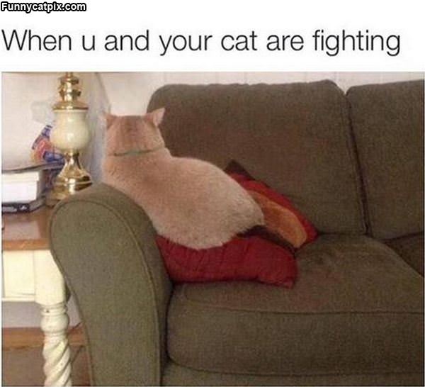 When You Are Fighting