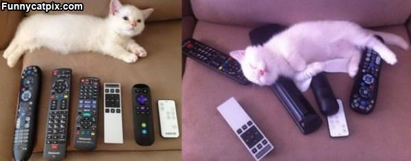 Which Remote