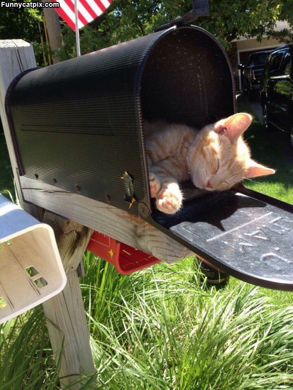You Have Got Mail