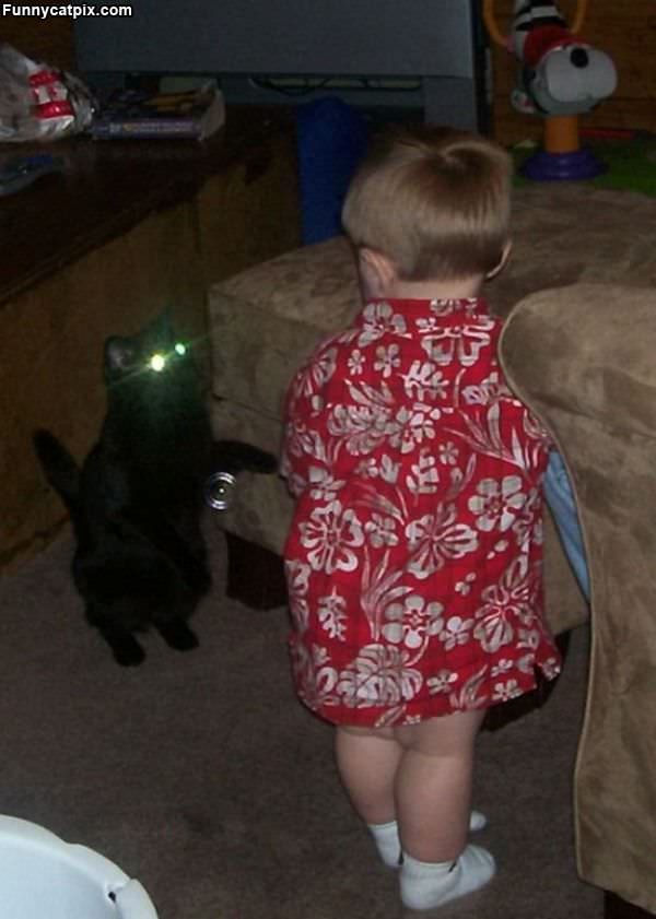 Zombie Laser Cat