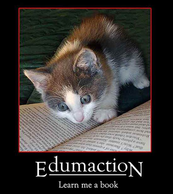 Edumacation 