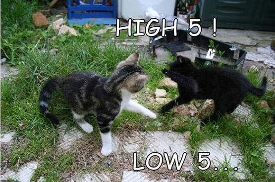 High 5, Low 5