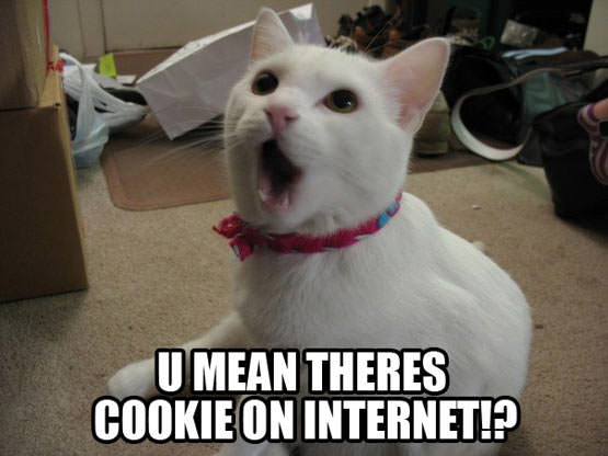 Cookies on the Internet