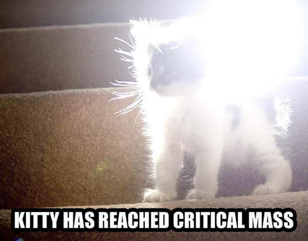 Critical Mass Kitty