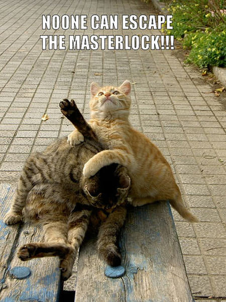 MasterLock Cat