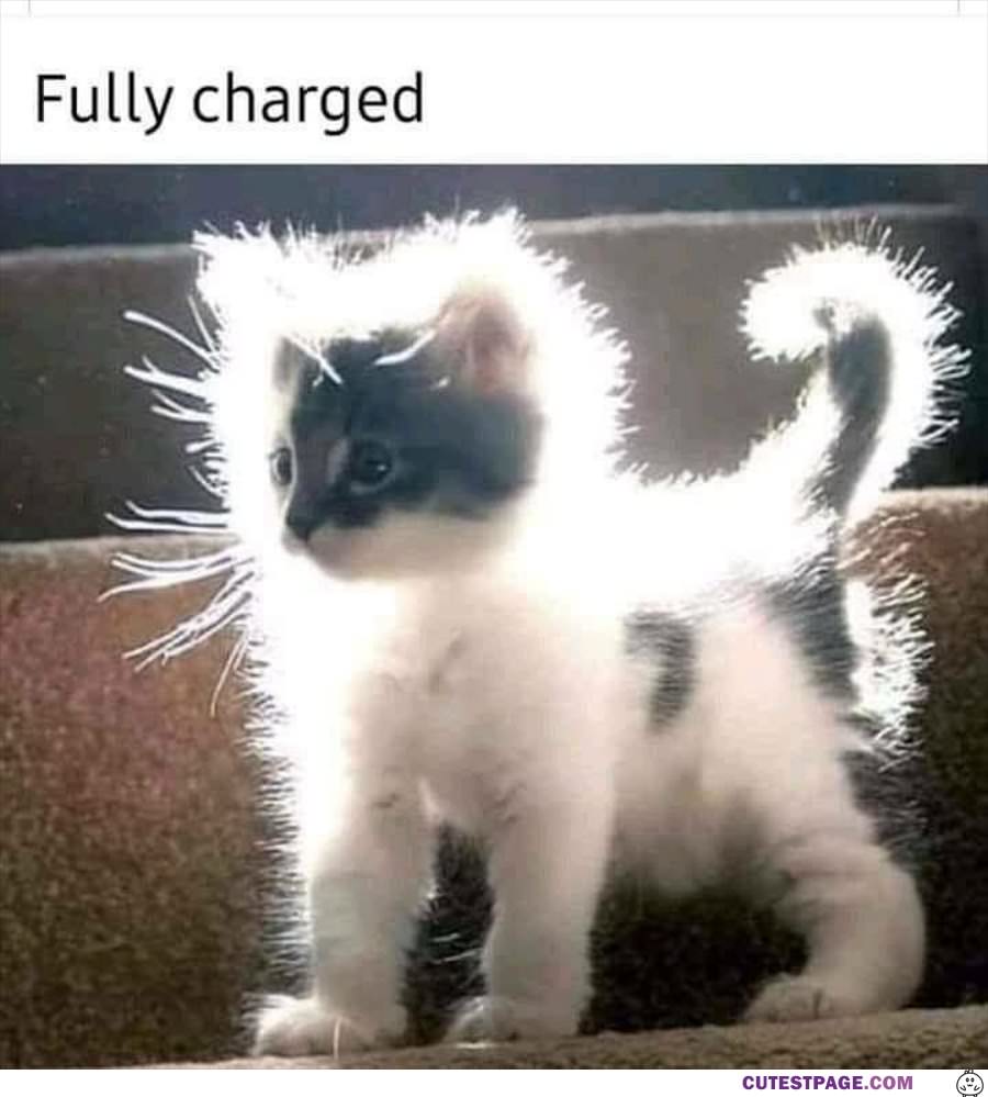 Full Charged