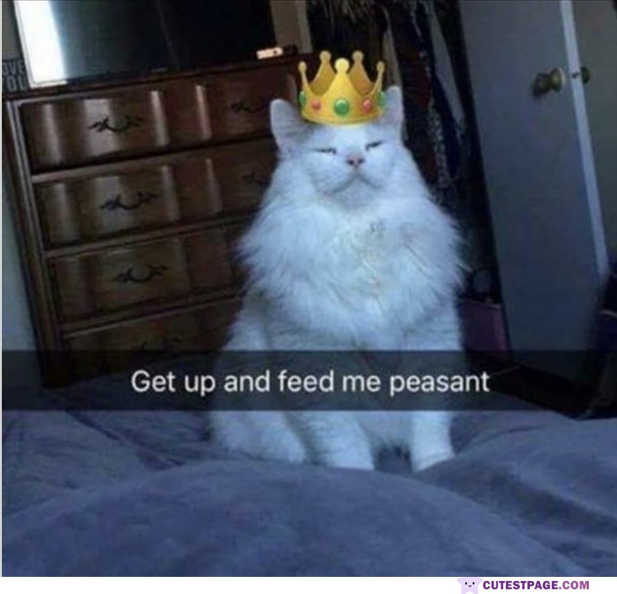 Get Up And Feed Me Peasant