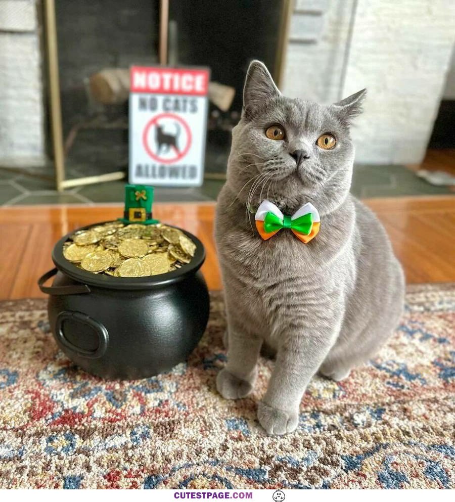 Got Me A Pot Of Gold