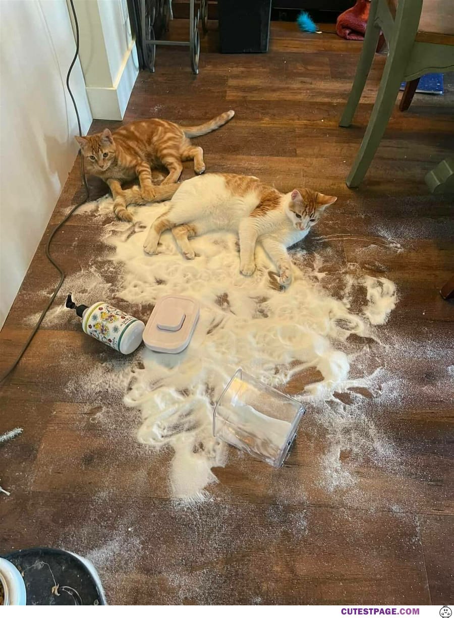 We Made A Little Mess