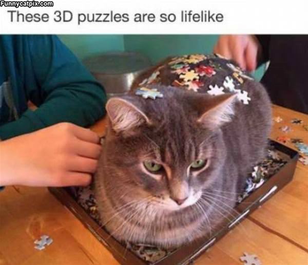 3d Puzzles