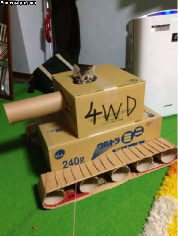 4wd Tank Cat