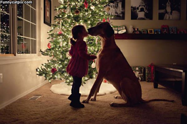 A Christmas Kiss