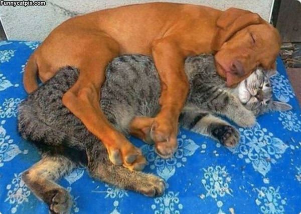 A Little Hug