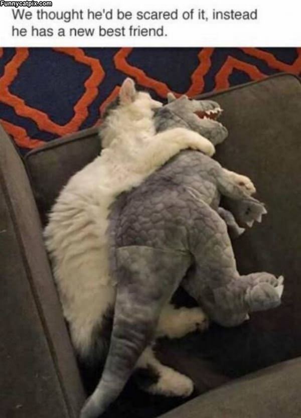 A New Best Friend