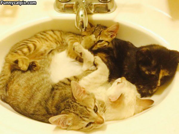 A Sink Full