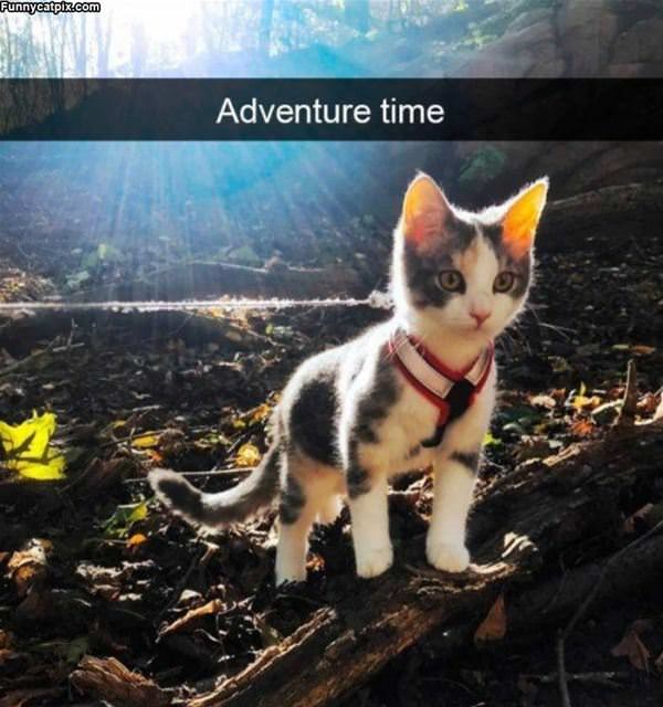 Adventure Time