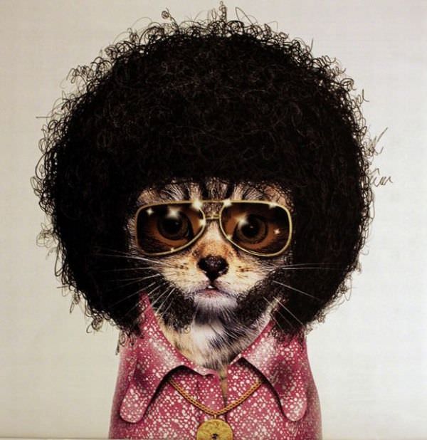 Afro Cat