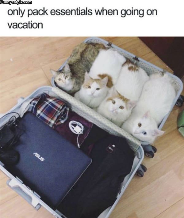 Always Pack Essentials