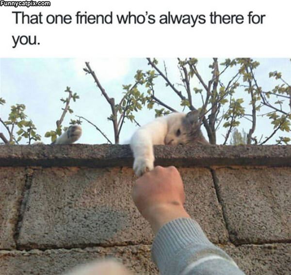 Always There For You