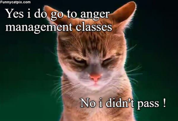 Anger Management