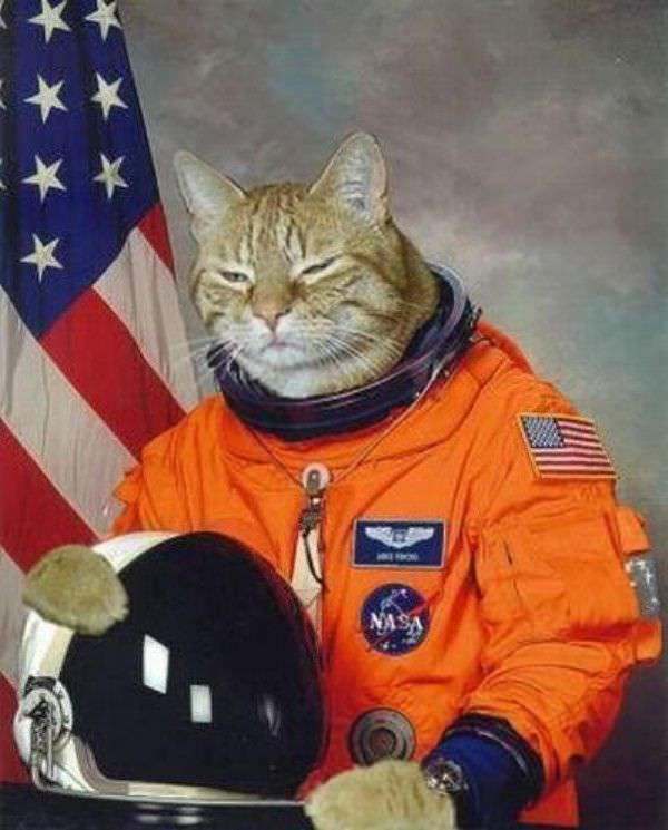 Astro Cat