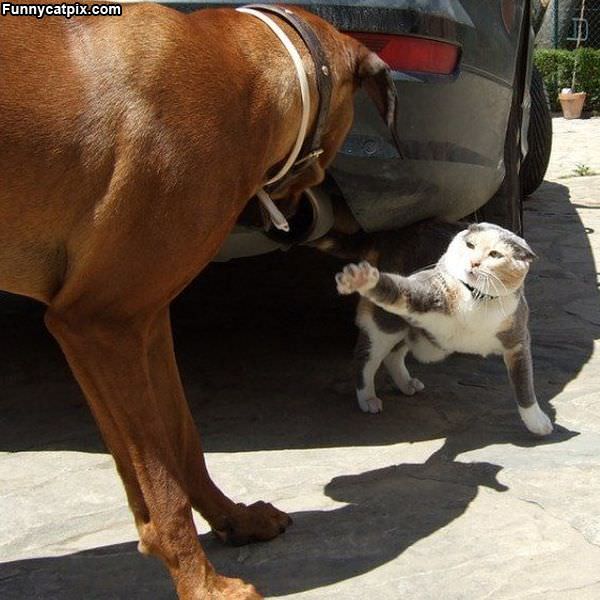 Back Away