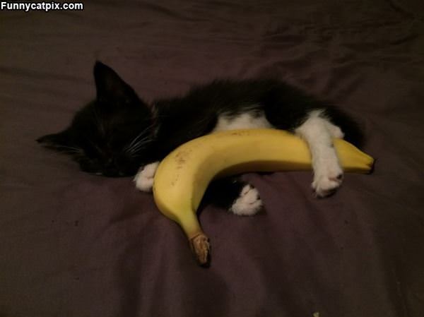 Banana Hug