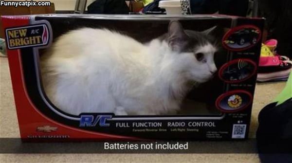 Batteries Not Included