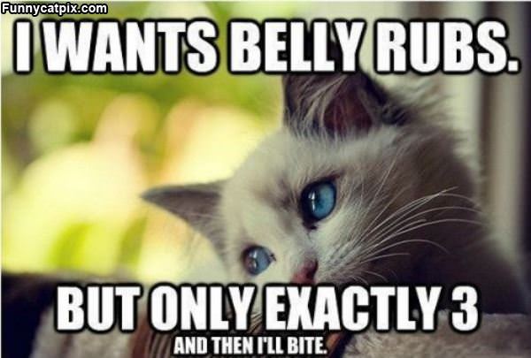 Belly Rubbs