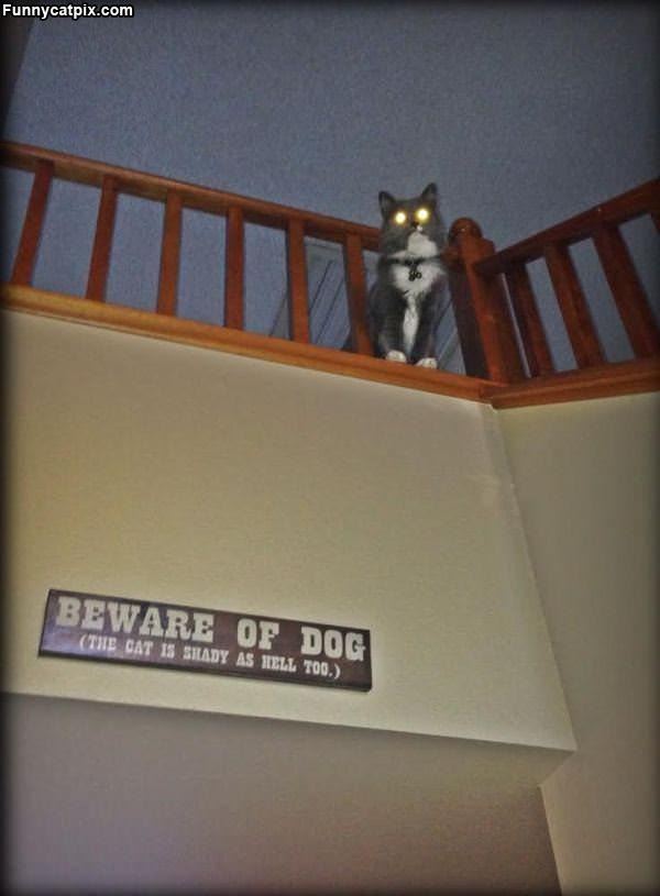 Beware Of The Dog