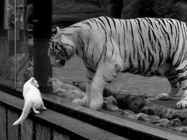 Big And Little