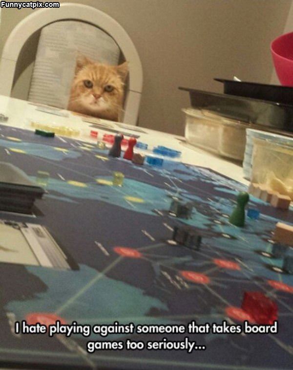 Board Games