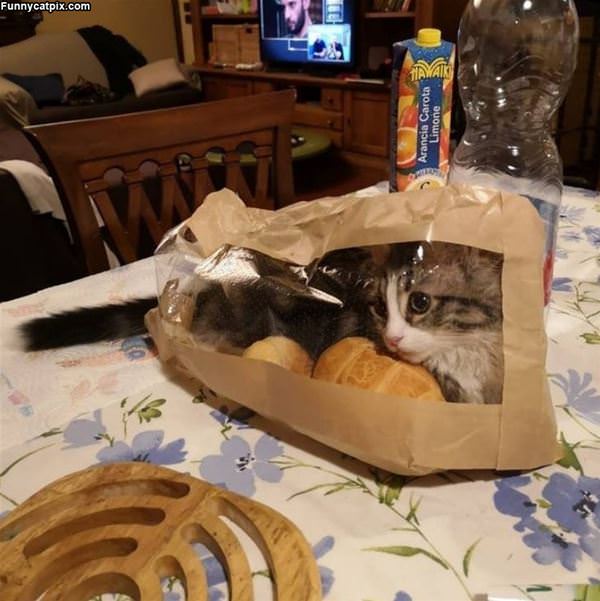 Bread Bag