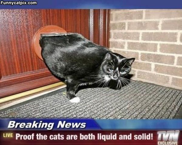 Breaking News