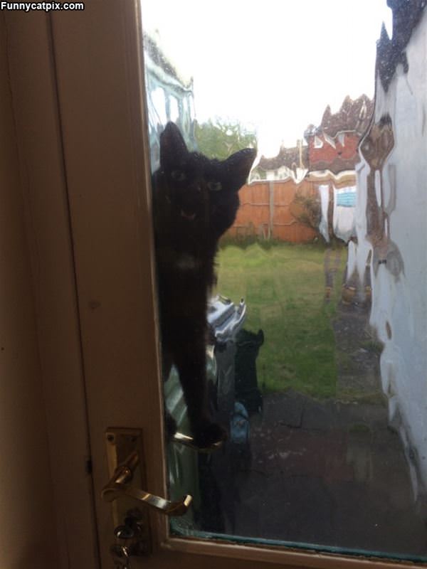 Can I Come In