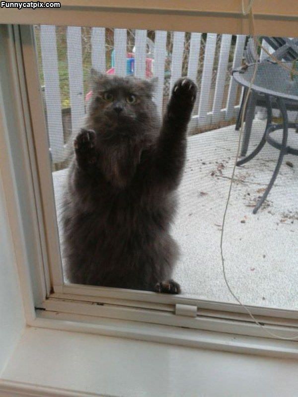 Can I Come In Now