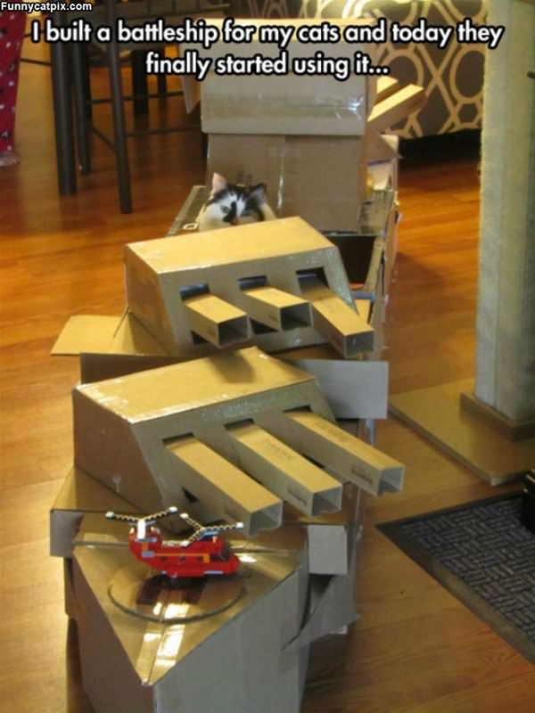 Cat Battleship