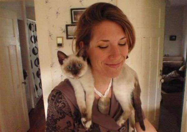 Cat Scarf