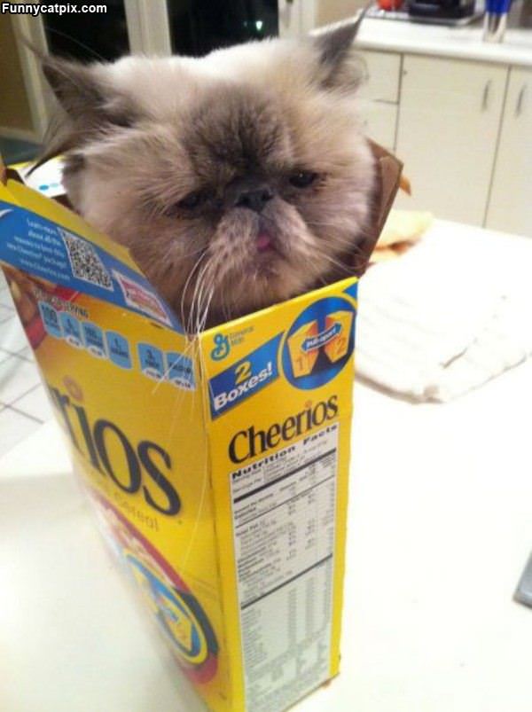 Cheerios